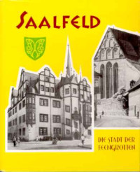 SAALFELD+-+die+Stadt+der+Feengrotten.